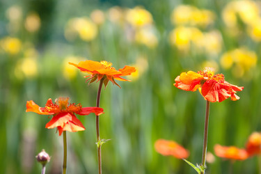 Similar image 508350