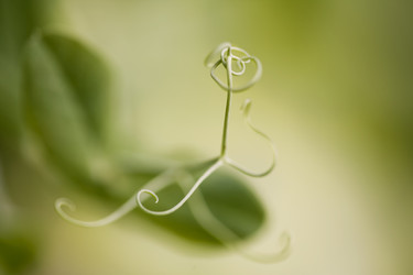 Similar image 508355