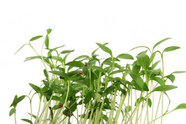 Similar image 508379