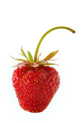 Similar image 508404