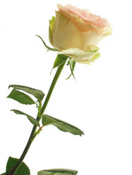 Similar image 508514