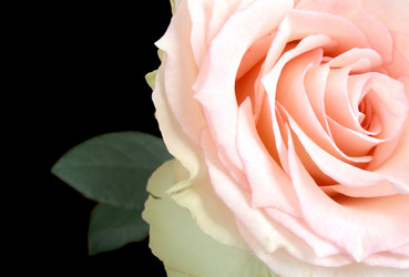 Similar image 508520