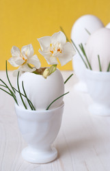 Similar image 508535