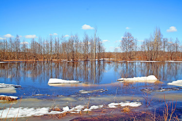 Similar image 508544