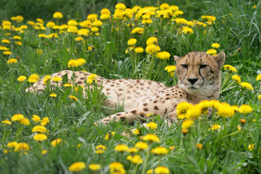 Similar image 508558