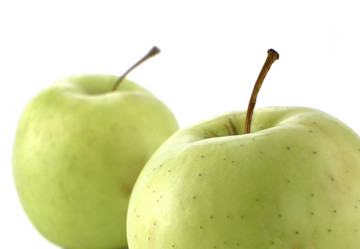 Similar image 508705