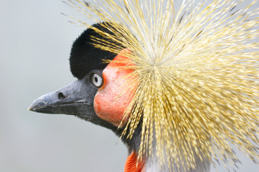 Similar image 508709