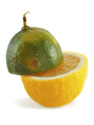 Similar image 508714