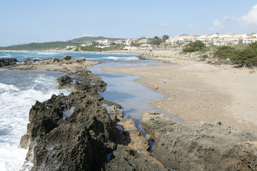 Similar image 508726