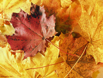 Similar image 508741