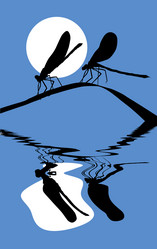 Similar image 508789