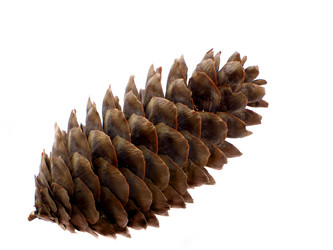 Similar image 508804