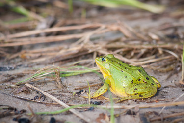 Similar image 508831