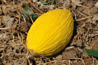 Similar image 508834