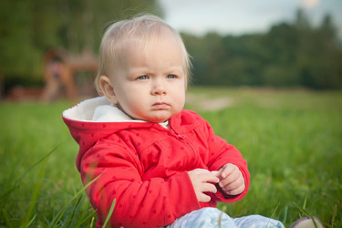 Similar image 508841