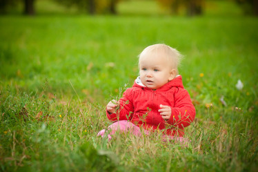 Similar image 508845