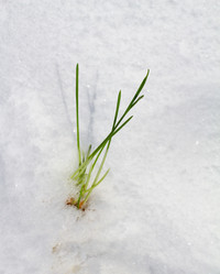 Similar image 508846