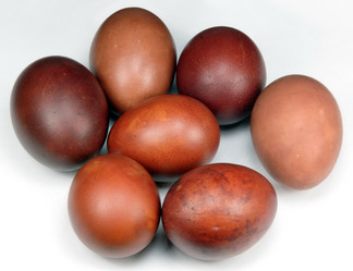 Similar image 508855