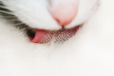 Similar image 508868