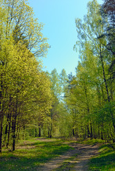 Similar image 508894