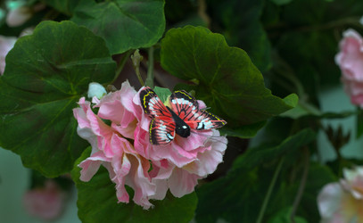 Similar image 508950