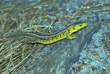 Similar image 509010