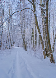 Similar image 509023