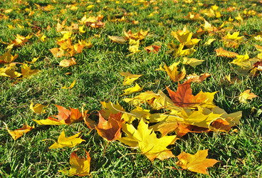 Similar image 509040