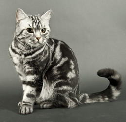 Similar image 509045