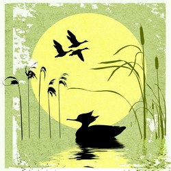 Similar image 509054