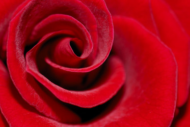 Similar image 509101