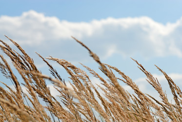 Similar image 509105