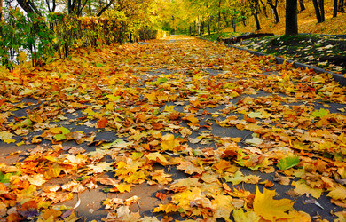 Similar image 509118