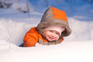 Similar image 509168