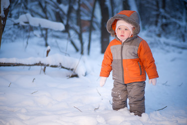 Similar image 509179