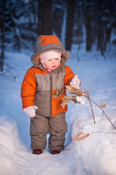 Similar image 509186