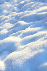 Similar image 509194