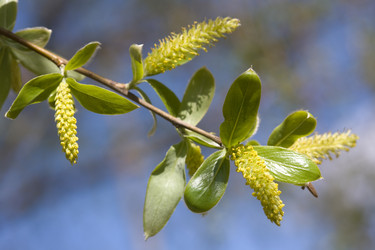 Similar image 509200