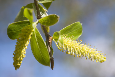 Similar image 509201