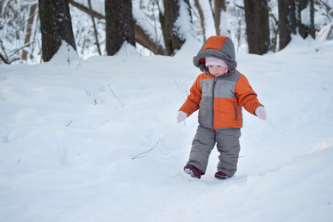 Similar image 509218