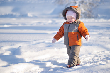 Similar image 509221