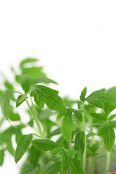 Similar image 509228