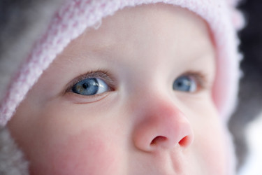 Similar image 509277