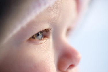 Similar image 509280