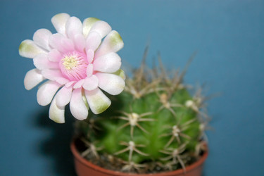 Similar image 509293