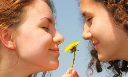 Similar image 509353