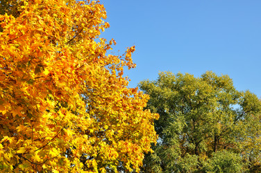 Similar image 509360