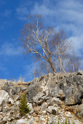 Similar image 509362