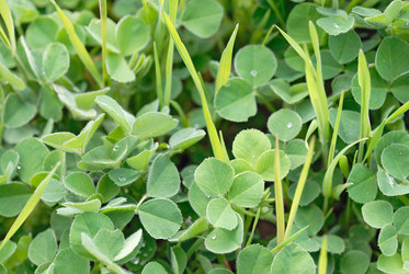 Similar image 509384