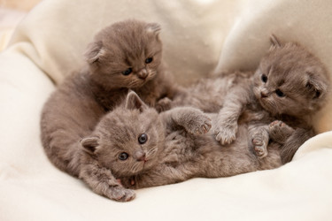 Similar image 509426